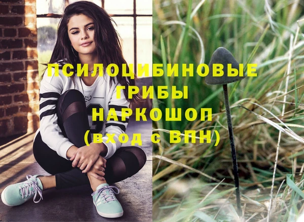 индика Алексеевка