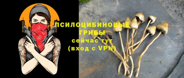 spice Алексин